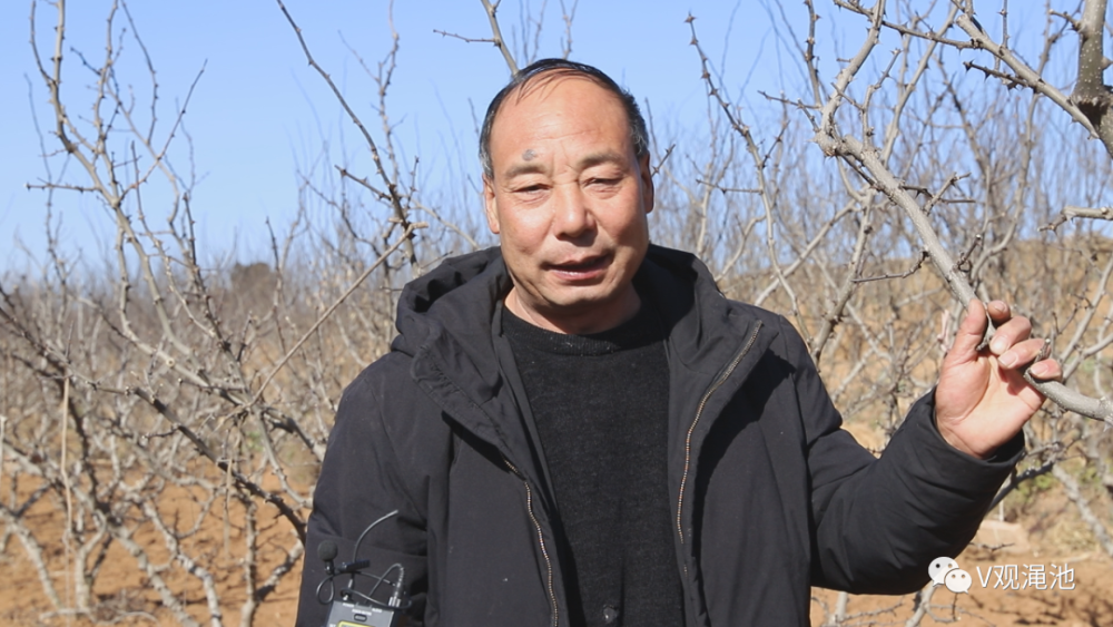 融媒记者走基层渑池县张村镇杨家新村易地扎根绽放新气象