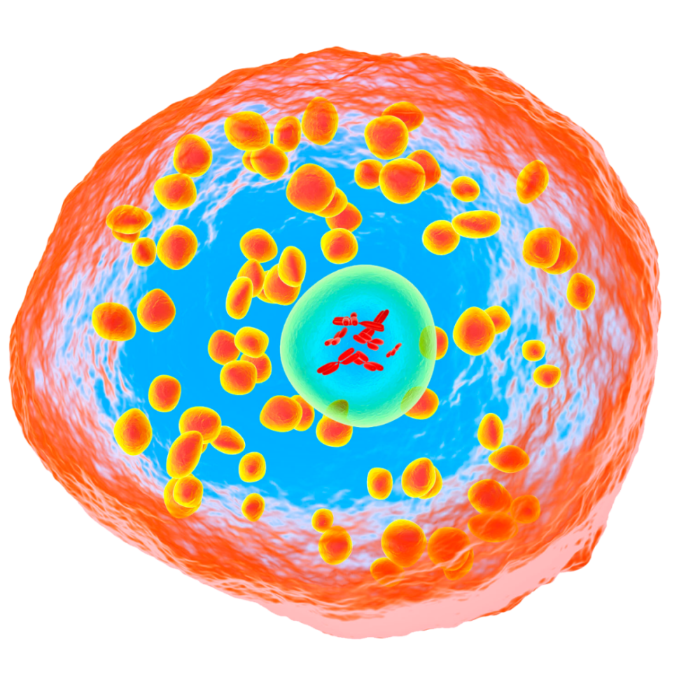 美图分享细胞精美超清大图