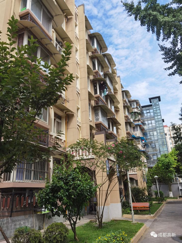 结合和平苑环境修缮工程,新乐北街折围增绿27亩绿地,极大改善社区老旧