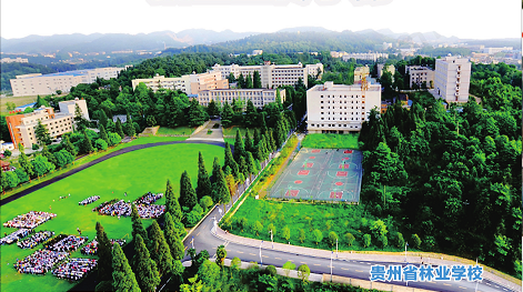 2020年茅臺學院學雜費_茅臺學院學費_茅臺學院2021年學費