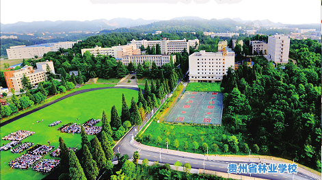 2020年茅台学院学杂费_茅台学院学费_茅台学院2021年学费