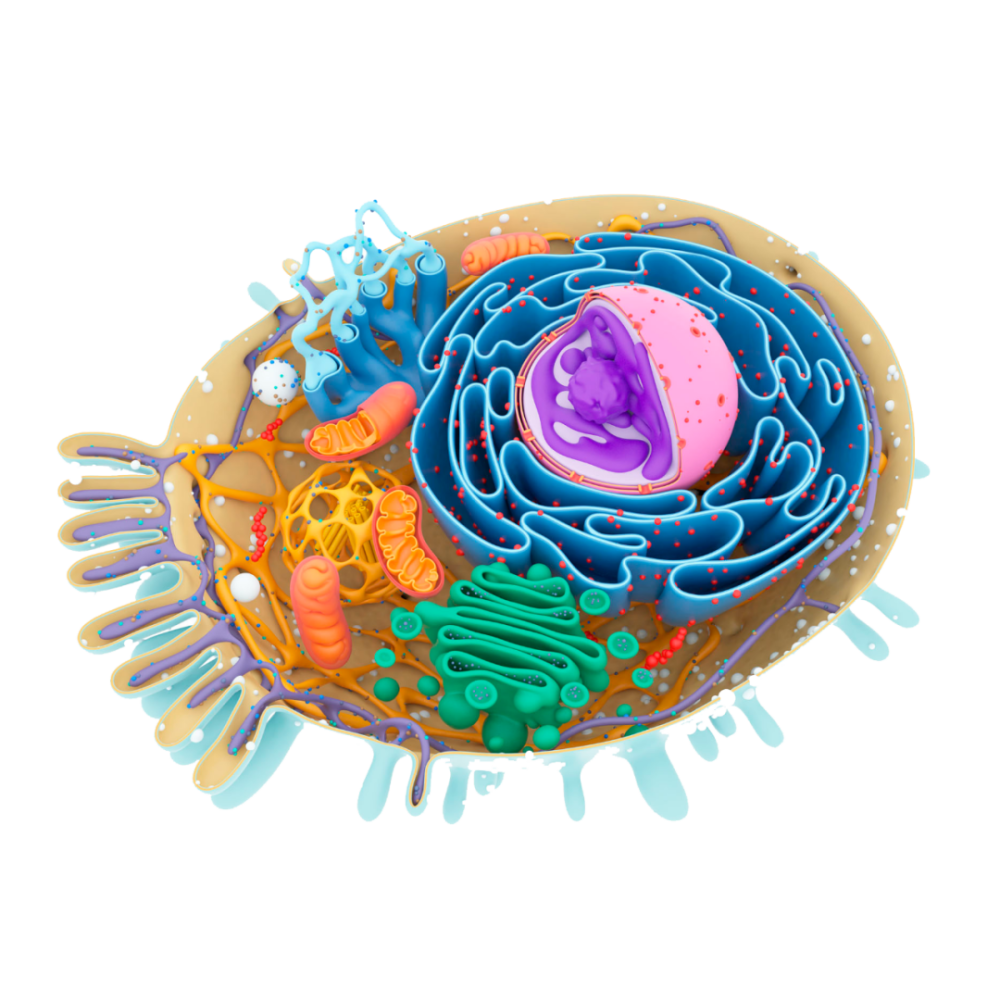美图分享细胞精美超清大图