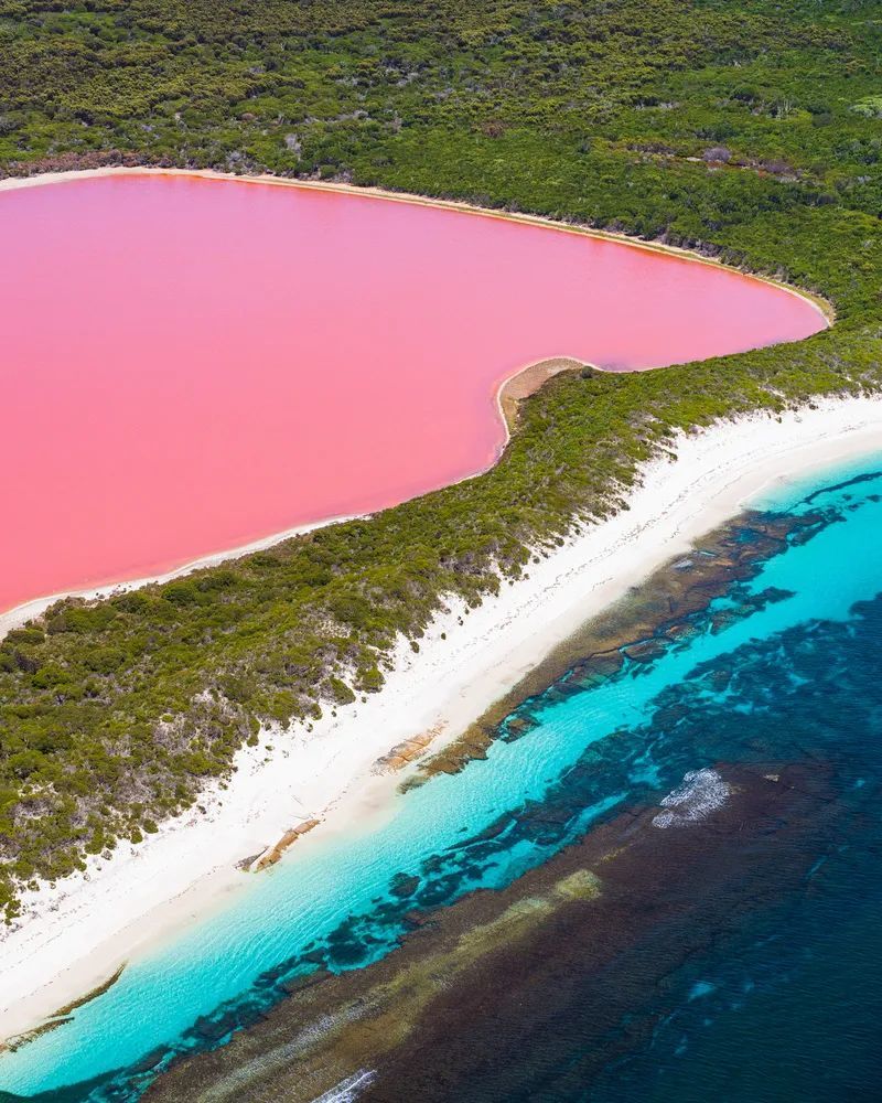 知道澳大利亚那个著名的粉红色湖泊希利尔湖么?