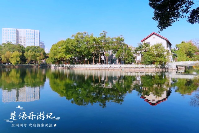 秋色斑斕到處如畫,寧波這個景點讓人驚豔|寧波|月湖公園|5a景區|銀杏