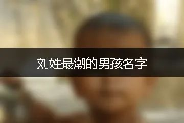 男孩起名字的字_起名男孩字孩子名字大全_孩子起名字男孩