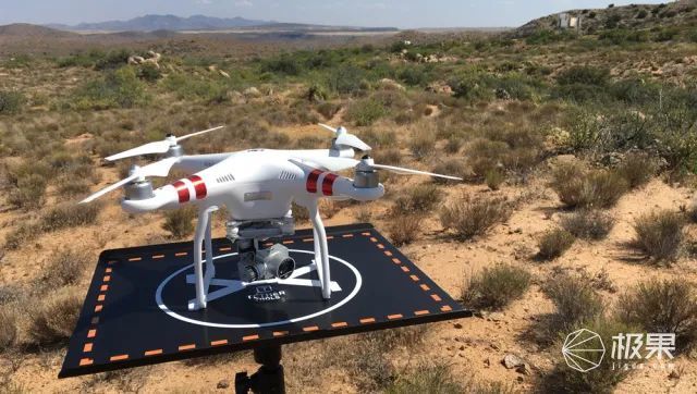 "仿生鸟"无人机问世!仅重250克,能在空中"捕猎",树上栖息