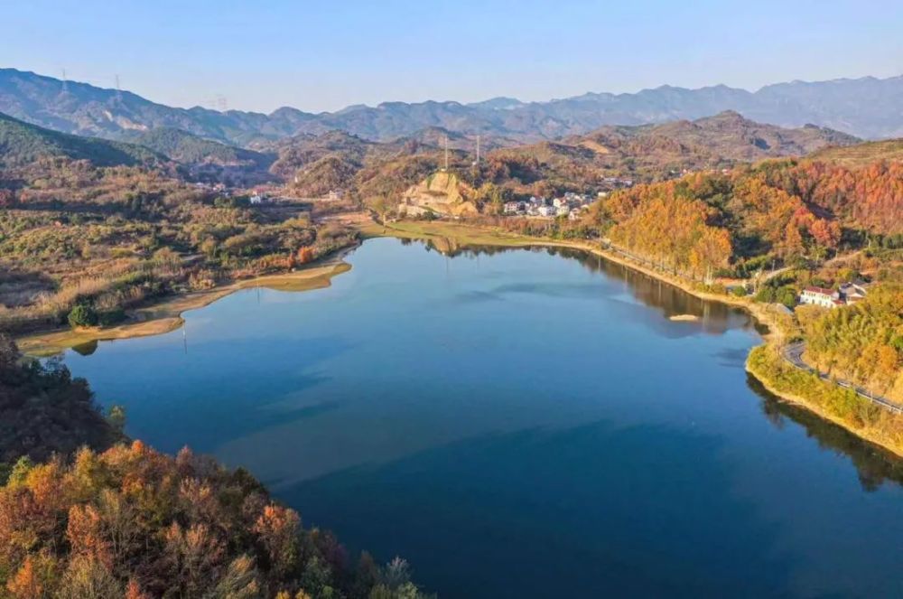 金东这片池杉林已美成"冬日童话"!