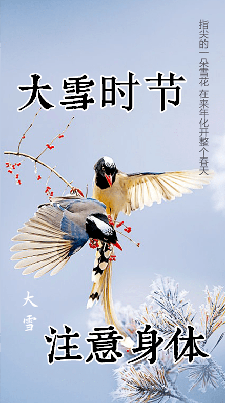 大雪节气到来,愿你与雪同乐,欢喜愉快,早安!
