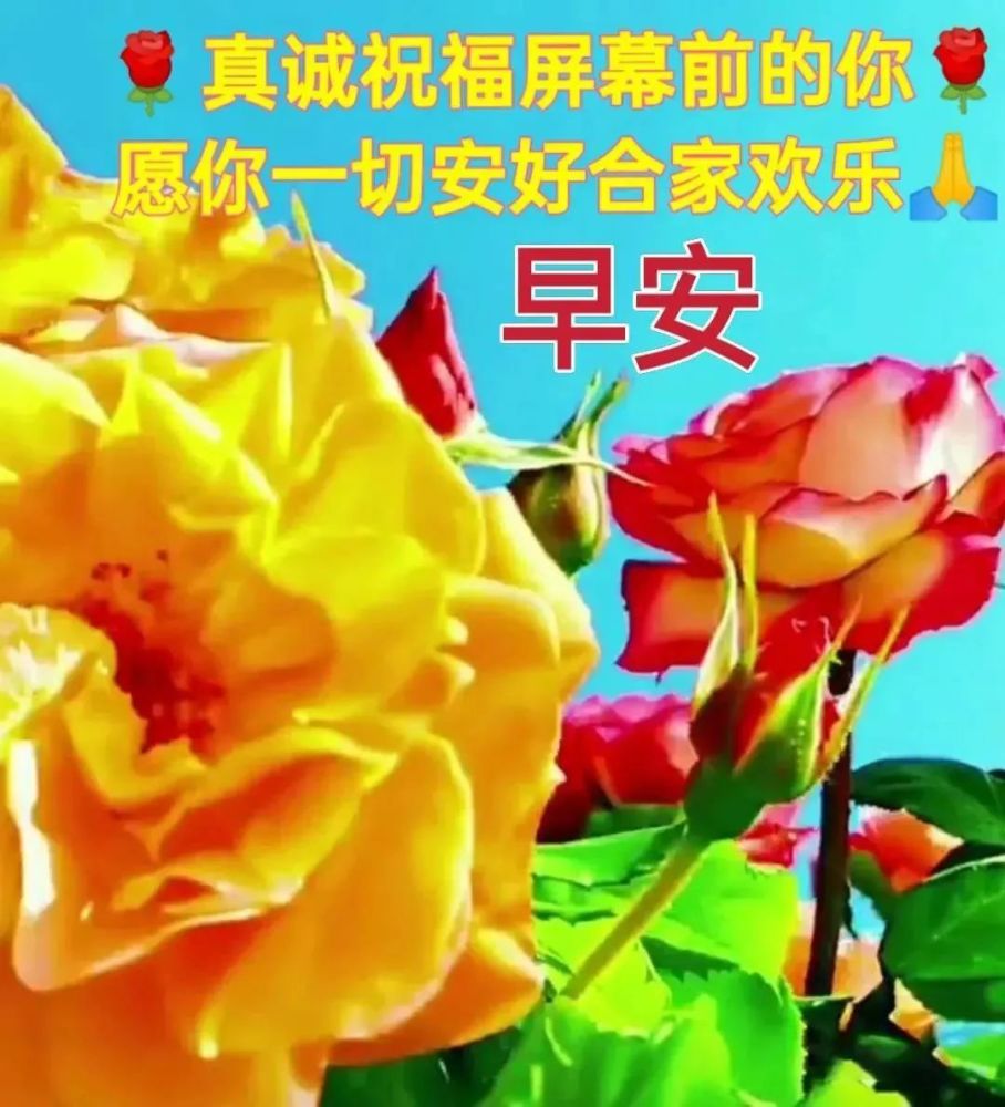 親愛的朋友早安祝願你一生幸福健康平安早上好