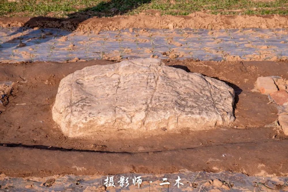 中国最矮的山寿光静山