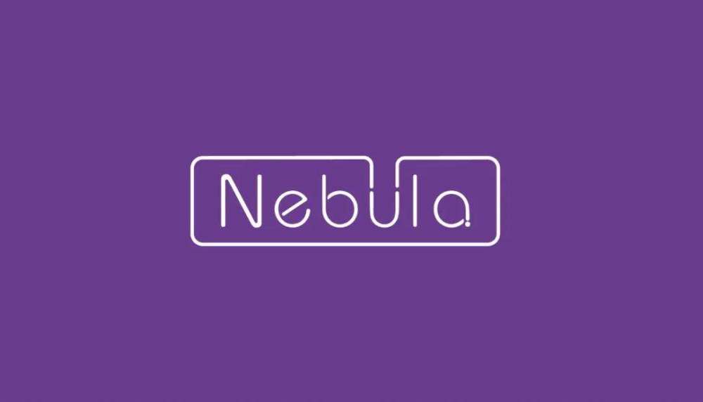 nebula brands联合创始人王彦植表示"中国品牌正在国