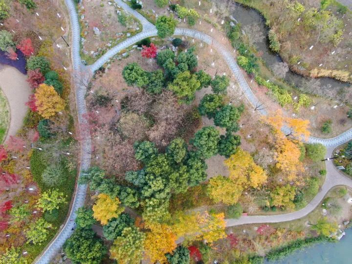 南通小游园冬日景色美