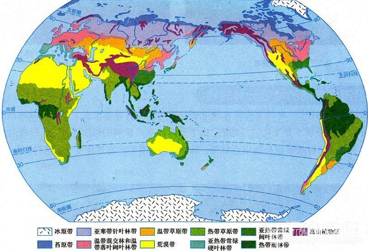 常識積累世界主要氣候類型及特點