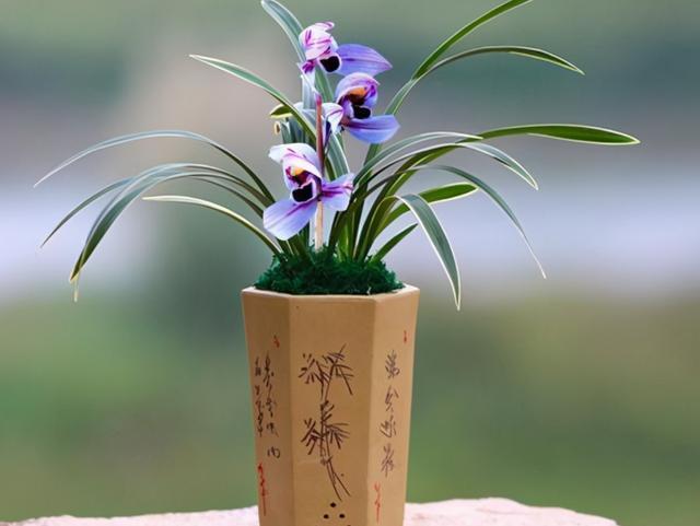 腾讯内容开放平台