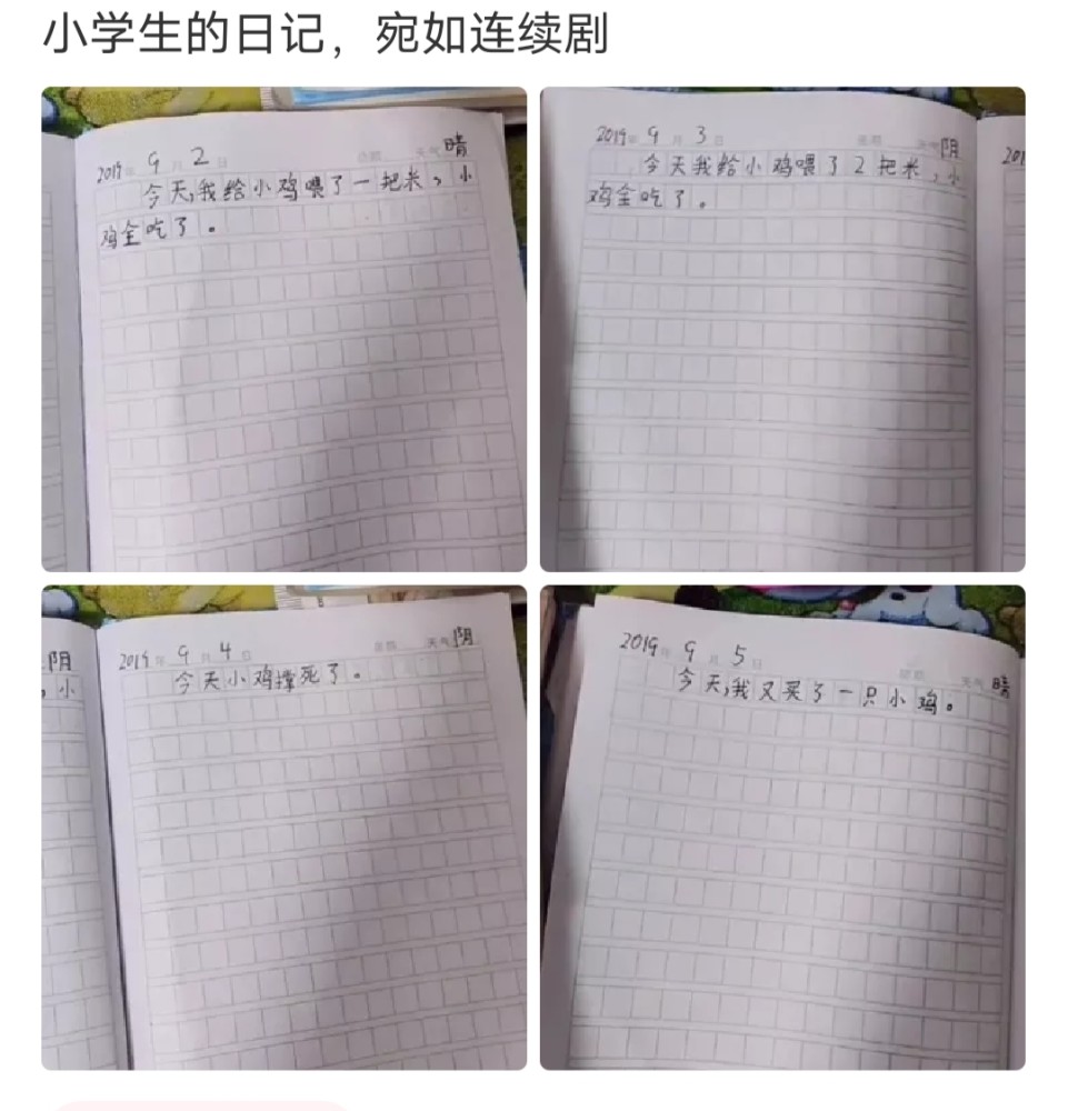 小学生爆笑日记,网友:幸好我初中都没上完_腾讯新闻