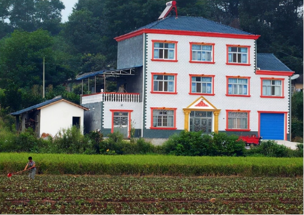 第三类是城镇居民非法购买的宅基地.