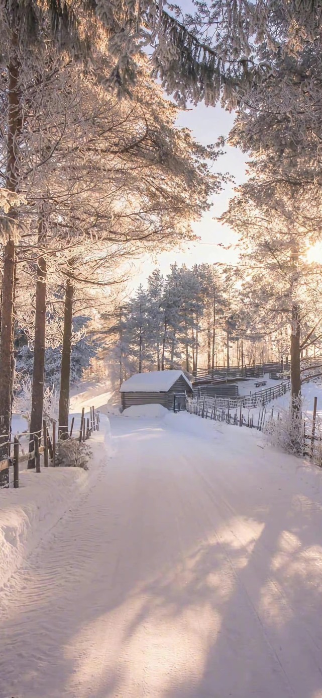 冬日雪景 手机高清全面屏壁纸 即使百般不顺仍期望万事顺意