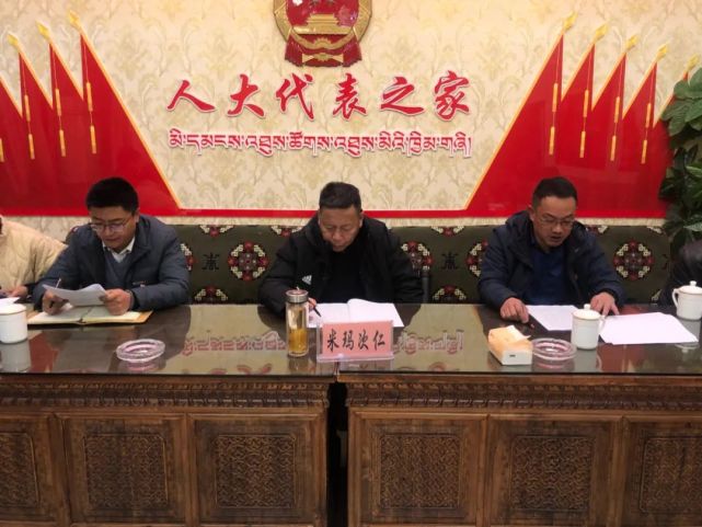 区政府主要领导深入乃琼街道调研