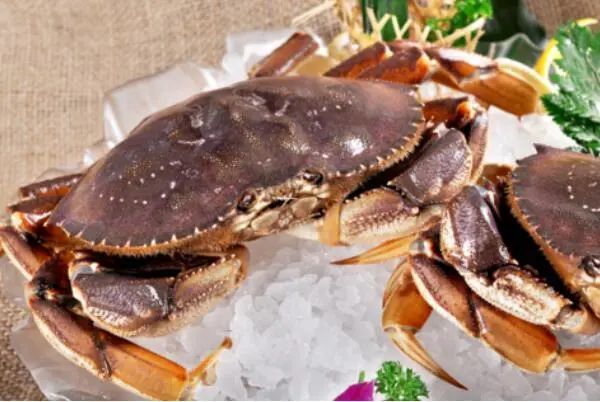 全球十大螃蟹品种帝王蟹上榜第六是日本三大名蟹之一