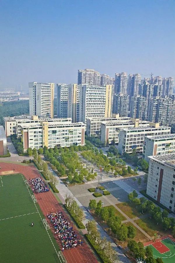 合肥八中传来最新消息!