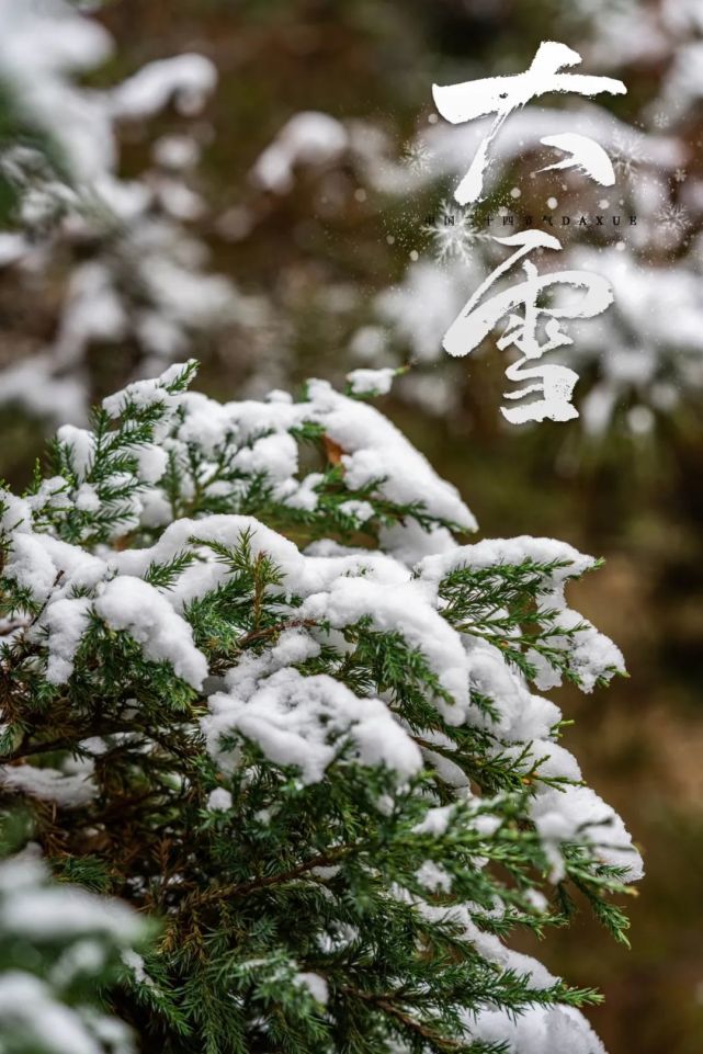 春雨惊春清谷天,夏满芒夏暑相连.秋处露秋寒霜降,冬雪雪冬小大寒.