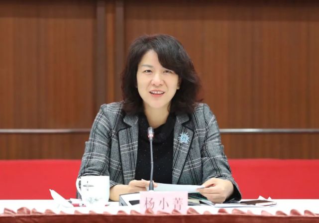 区委副书记,代理区长杨小菁主持会议,区委常委,副区长孙挺,金俊峰,区