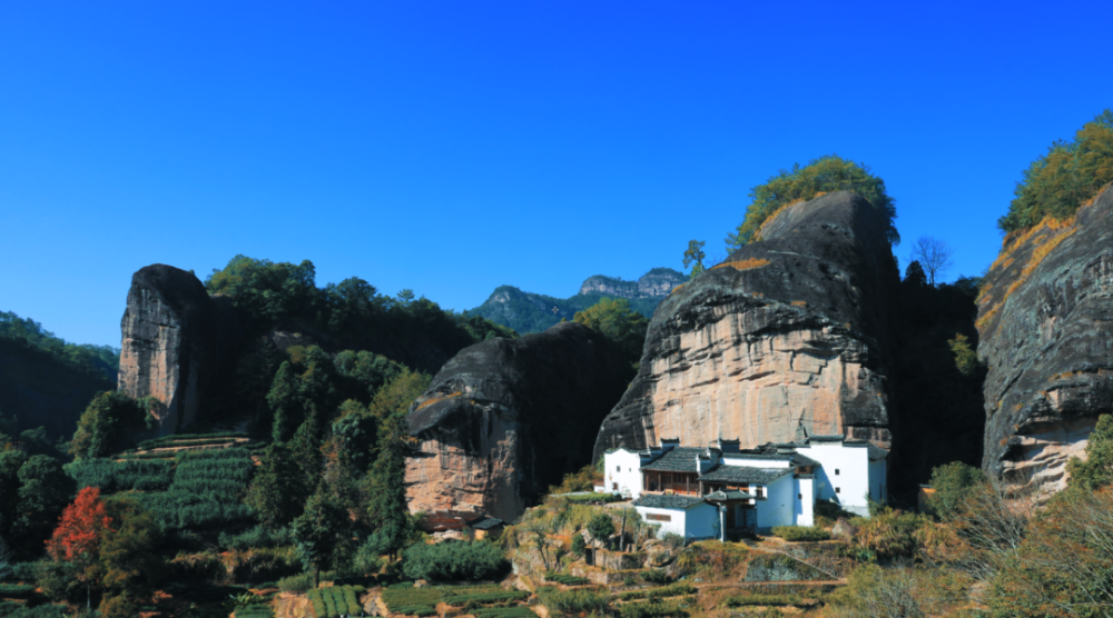 12月12日(周天)自駕武夷山,徒步升日峰,最美灣道,馬頭巖,悟源澗_騰訊