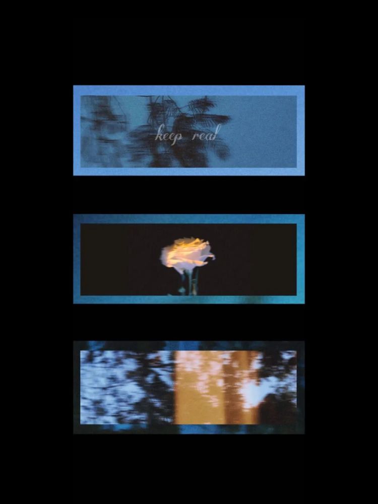 komorebi:阳光穿过了树叶之间的缝隙coisini:爱尔兰语多怦然心动