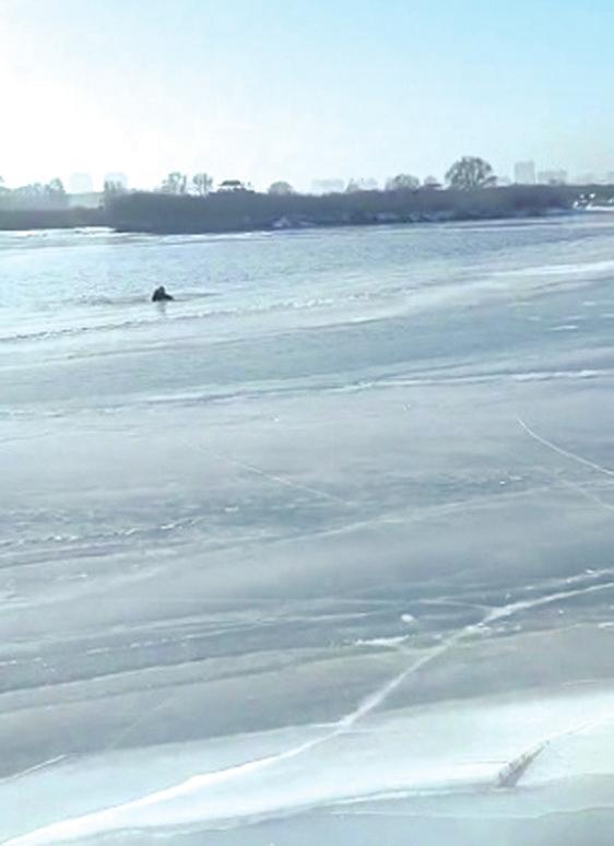 松原一男子散步时坠入松花江冰窟民警不顾危险成功营救