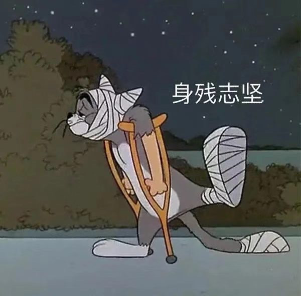 猫和老鼠表情弱小可怜又无助