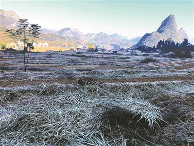 粵北韶關部分高寒地區早晚氣溫已低至5℃以下,屢創今年下半年新低.