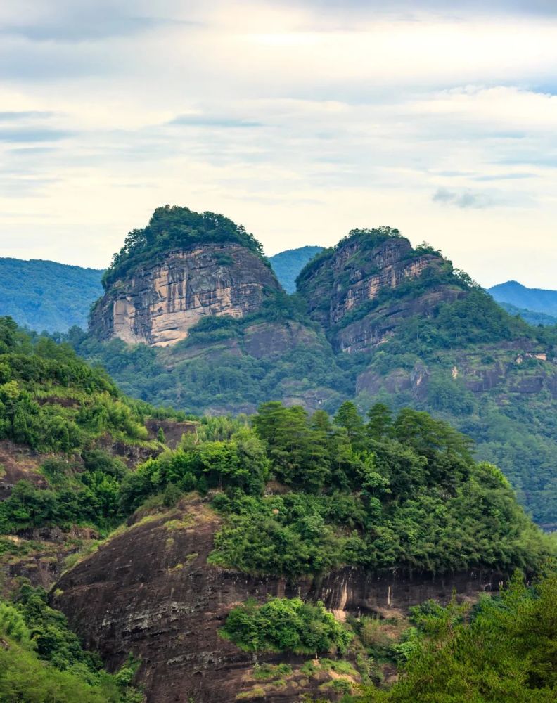 英国人为什么垂涎武夷山?_腾讯新闻
