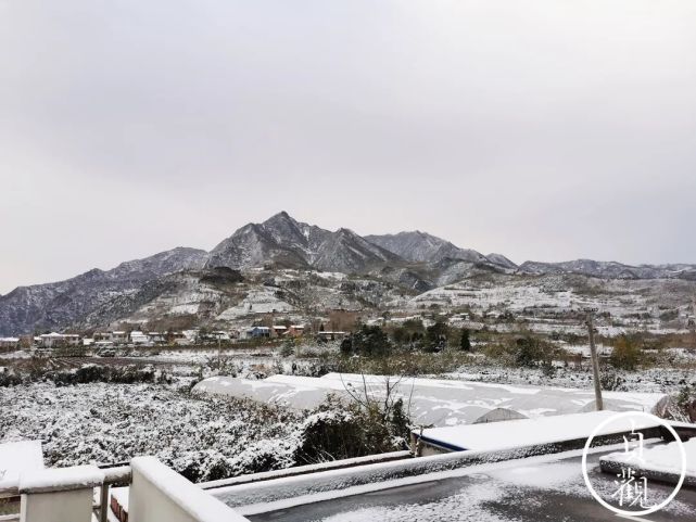 受大雪天氣影響,我們村東頭的西漢高速路段發生了嚴重的堵車,所有的大