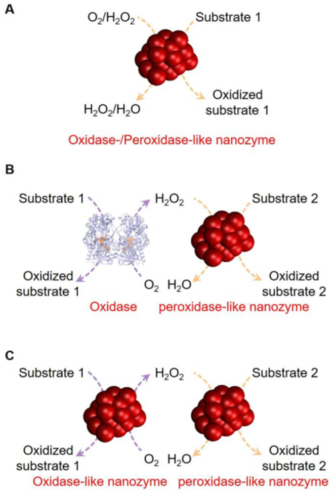 纳米酶分析化学最新综述