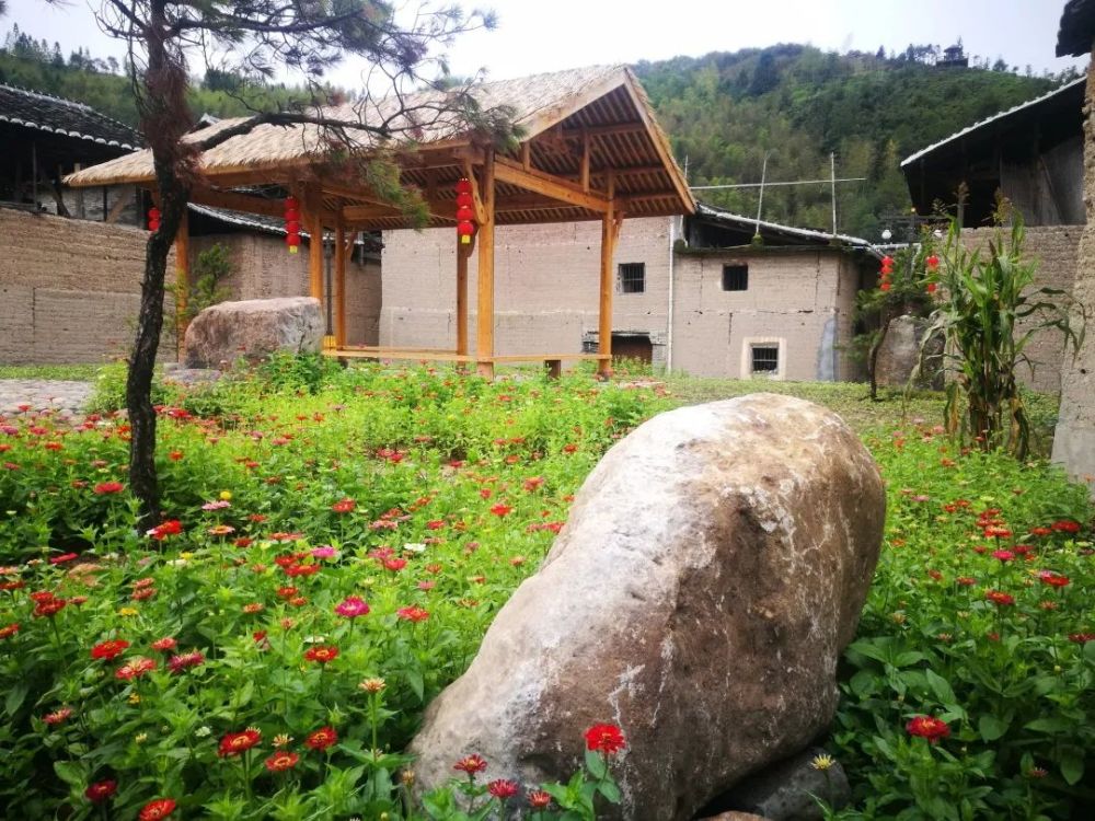 花园庭院·巾帼来建|龙溪乡:创建花园庭院 建设美好乡村