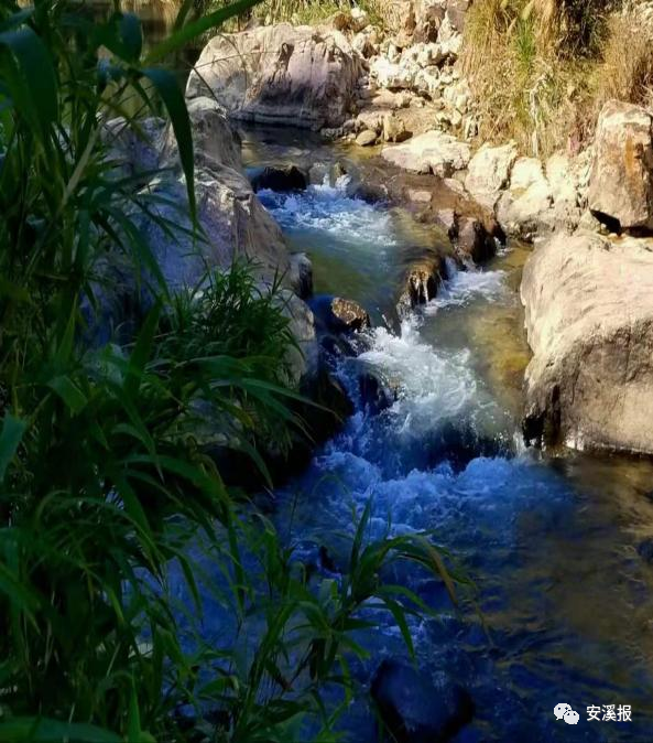 蓝田乡:立足生态优势打造全域旅游