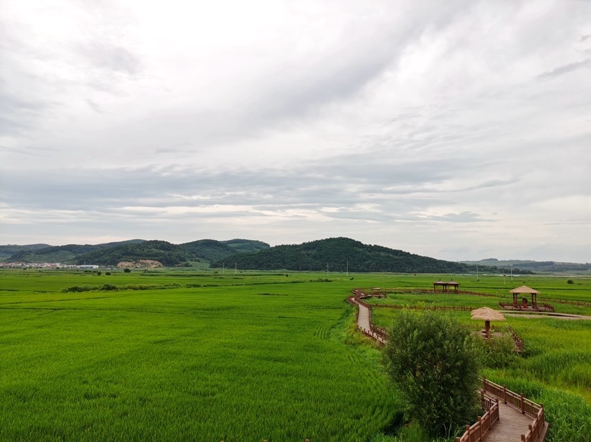 安图县万宝镇下好产业兴旺先手棋奏响乡村振兴致富曲