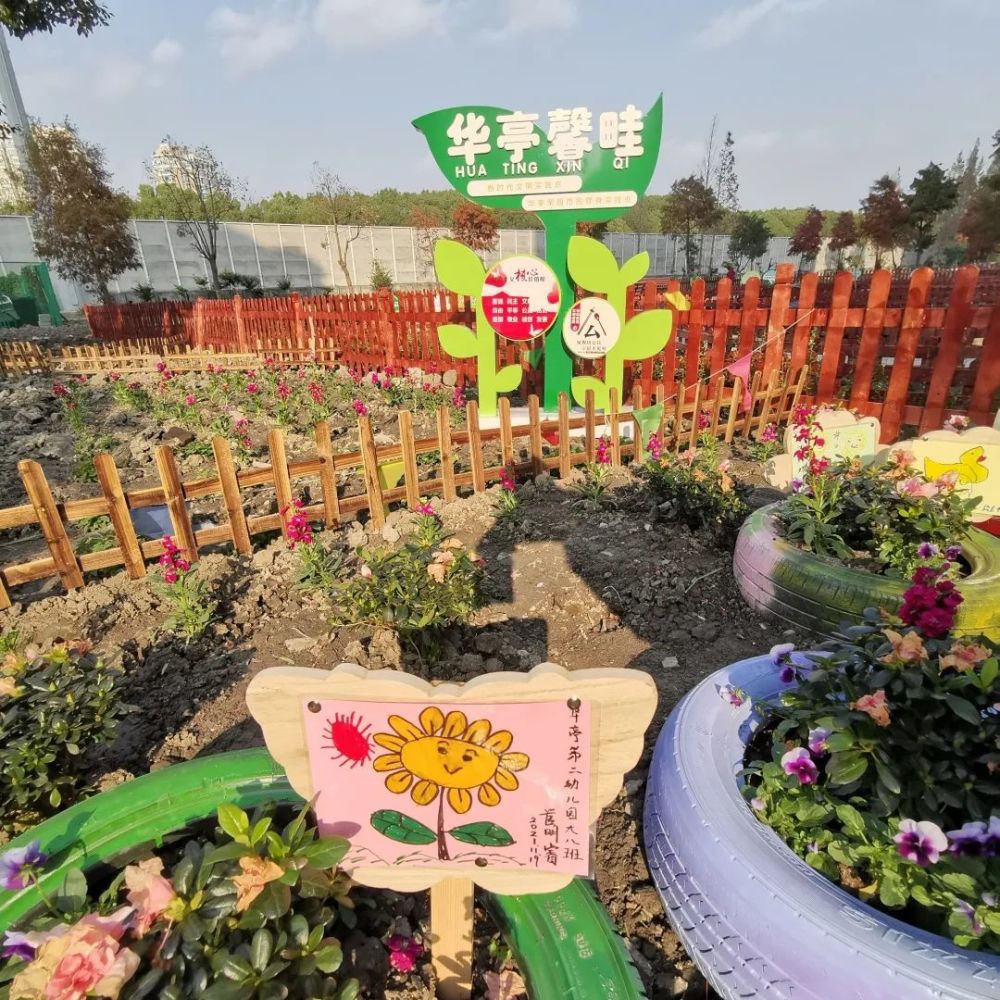 荒地变花园松江这里的社区微景观创意十足