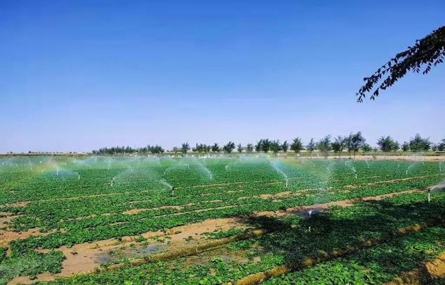 民勤:实施高效节水灌溉 助力现代农业发展