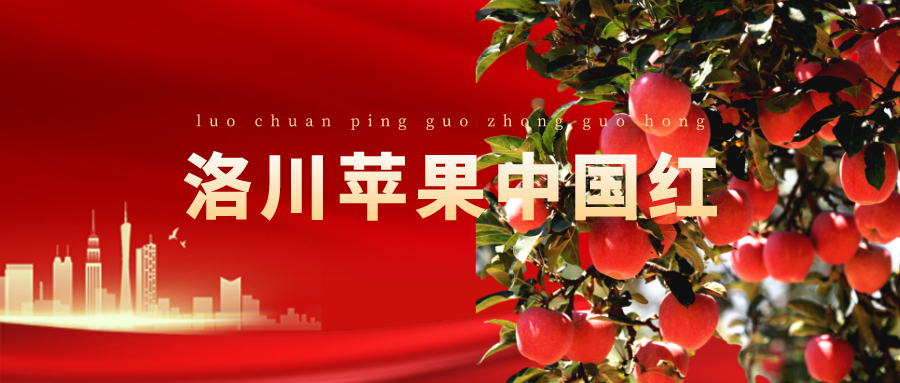 果企风采洛川圣嘉果业做好资源融合助力苹果产业转型升级