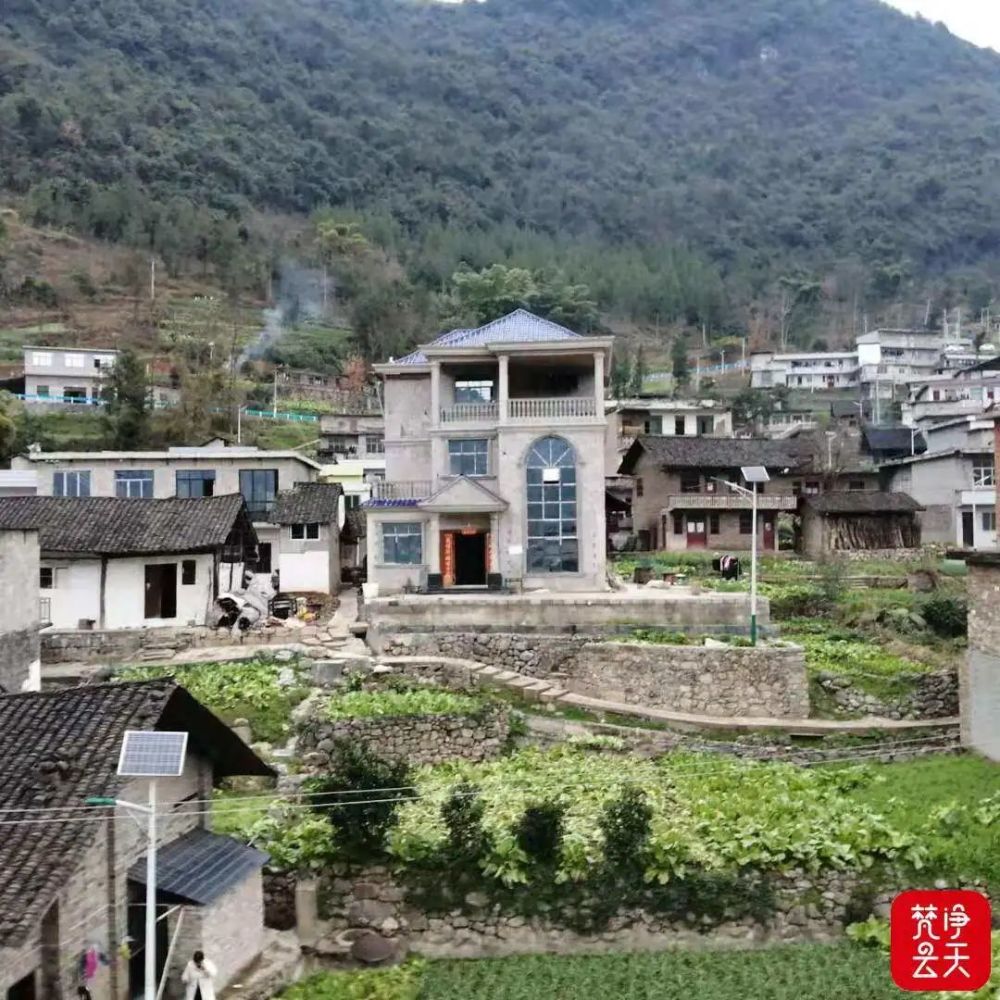 杨姓字辈排行_新密市杨姓委员会郑州四知堂文化传播有限公司举行续修家谱茶话会