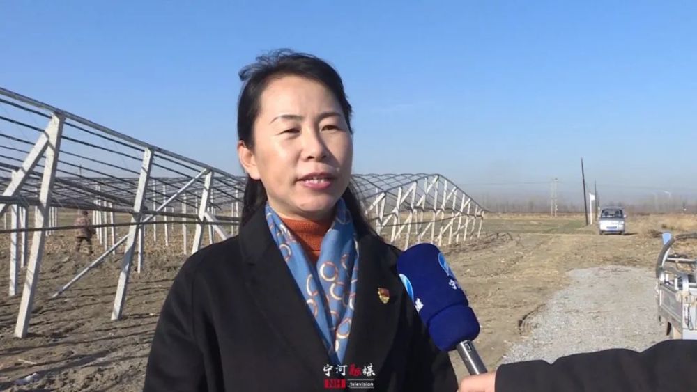 板桥镇镇长王洪霞说,对标任务差距,接下来,板桥镇将严格落实区委,区