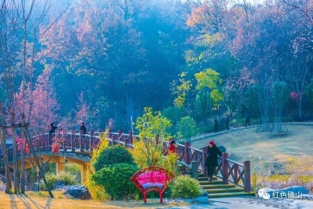 是確山縣首個集休閒,運動,文化娛樂為一體的山地生態文化公園