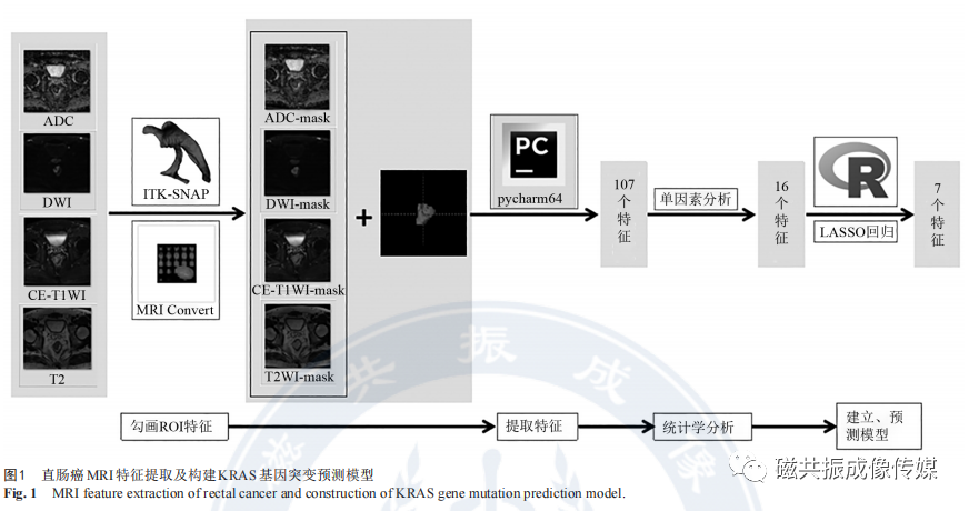 基于多参数mri影像组学信号预测直肠癌kras基因突变的研究