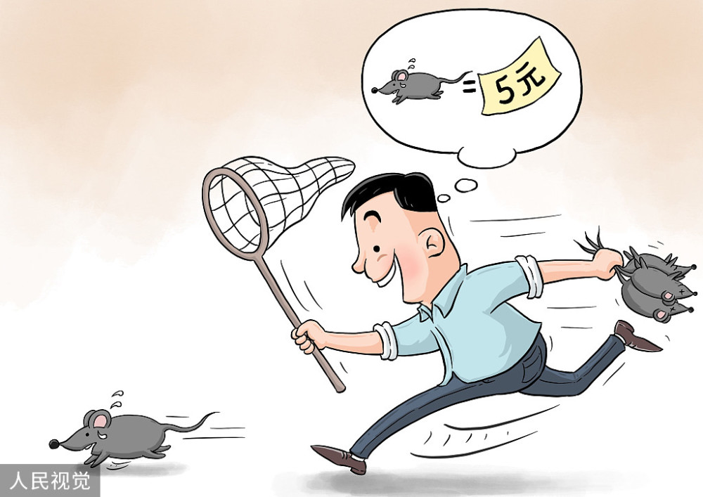 成都学校灭鼠除虫四害消杀方案_腾讯新闻