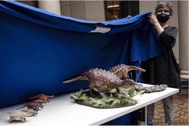 奇异小恐龙尾巴上却暗藏杀机揭开甲龙家族在南半球的生存之迷