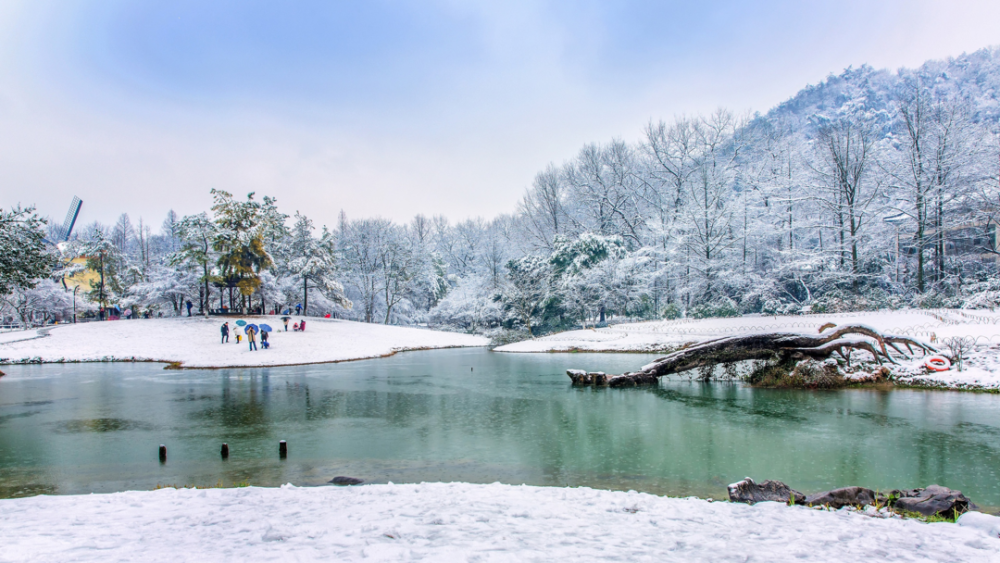 雨西湖不如雪西湖 杭州西湖冬景美得窒息