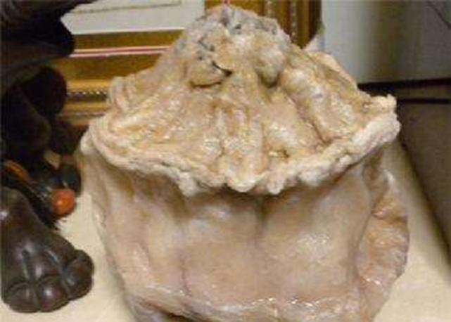 太岁是什么科学家视其为第四类生命吃了它真的可以长生不老