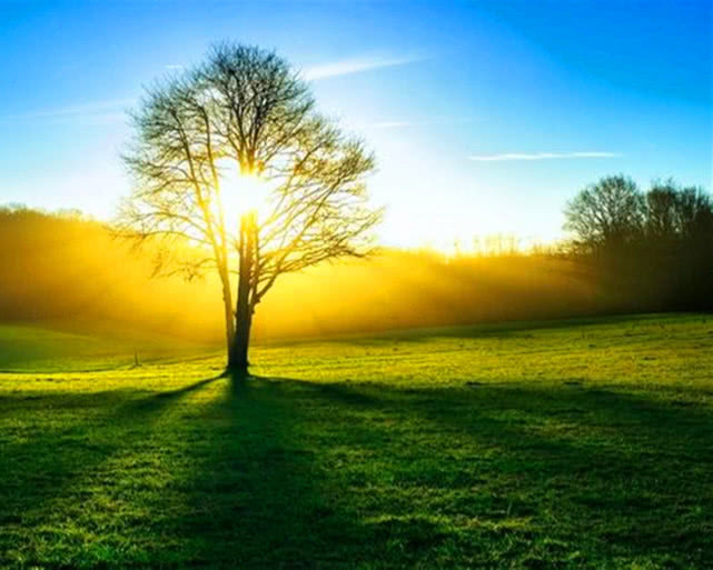 黃曆新說2月28日周一農曆正月廿八運勢早知道 天天看點