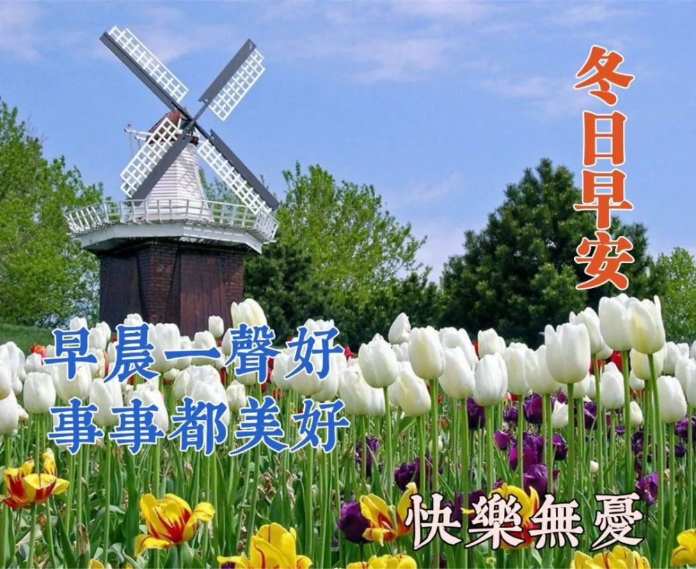 一句祝福,把思念的情谊幻化幸福,祝你天天快乐,早安!